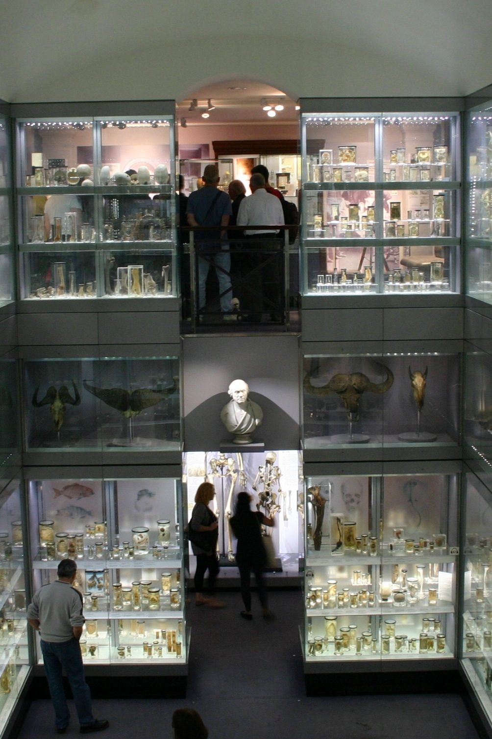 Hunterian Museum, Royal College of Surgeons, London - 03.JPG